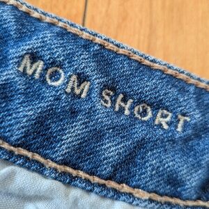 American Eagle Outfitters Blue Denim Shorts